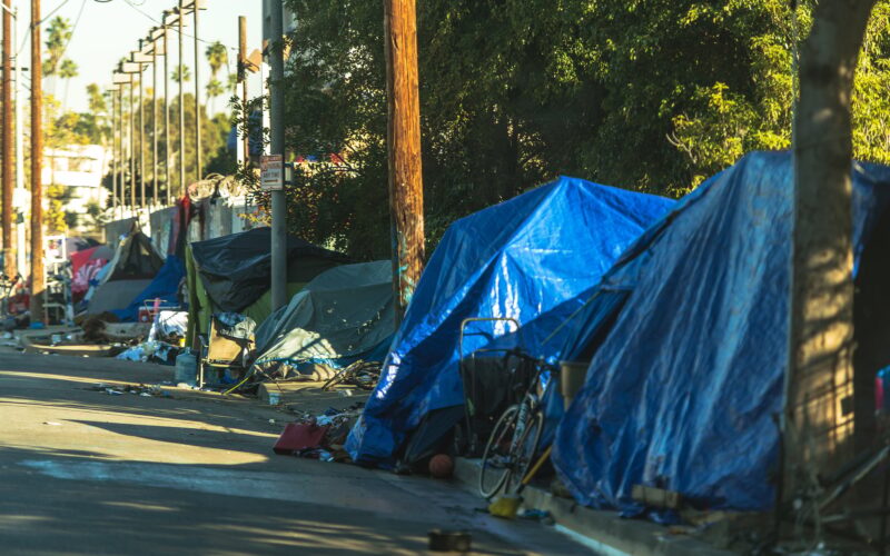 West Hollywood Homelessness Wild Tents Camp